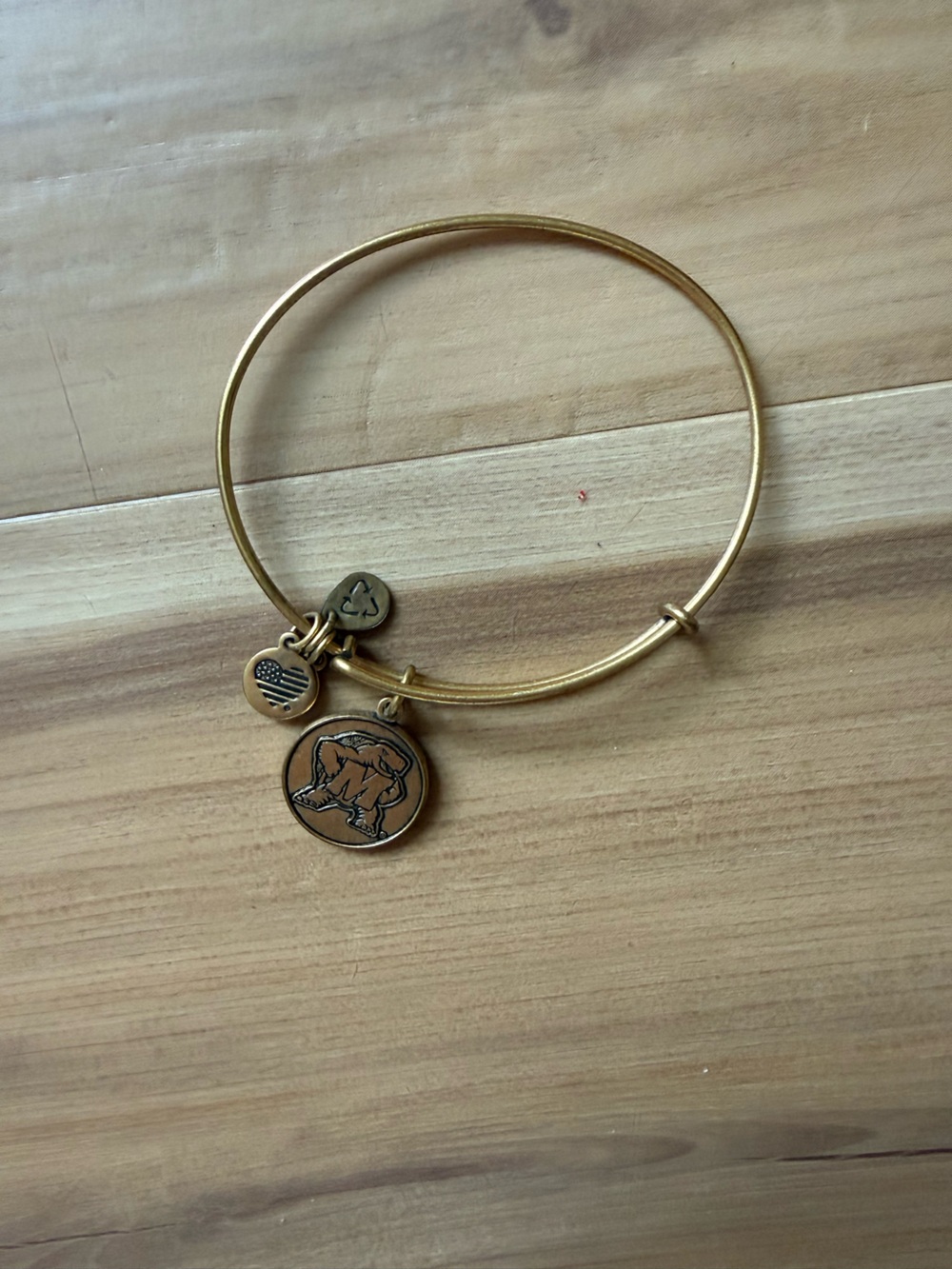 Alex and Ani Gold-Tone Terps Charm Bangle